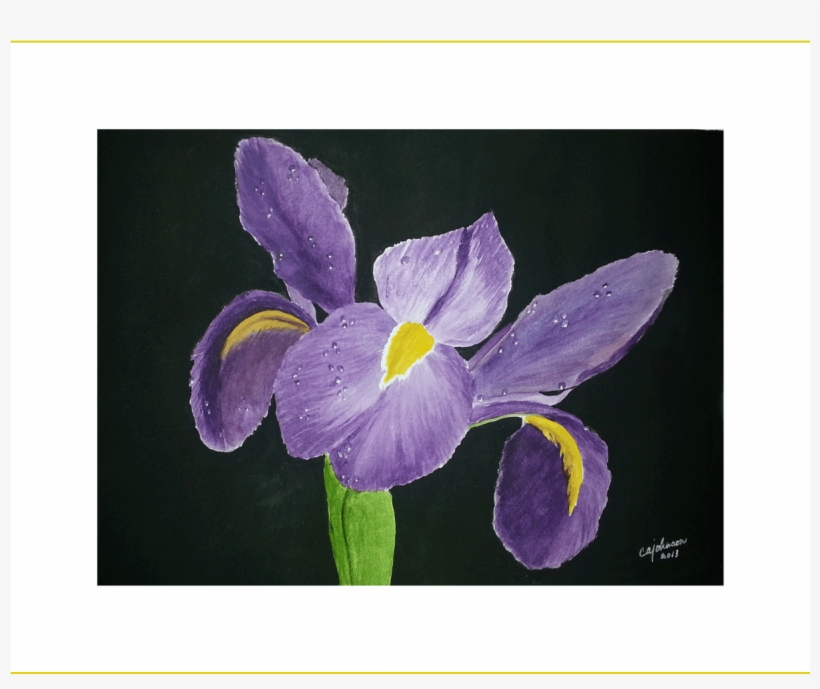 Iris With Dew Drops, Original Watercolor Painting - Iris, transparent png download