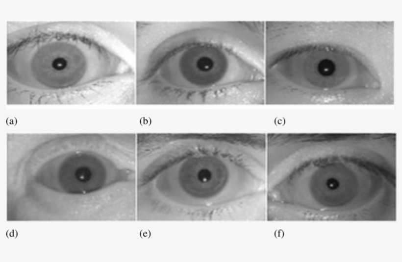 Samples From Bath Iris Database [5] Smart Sensor Limited - Sensor, transparent png download