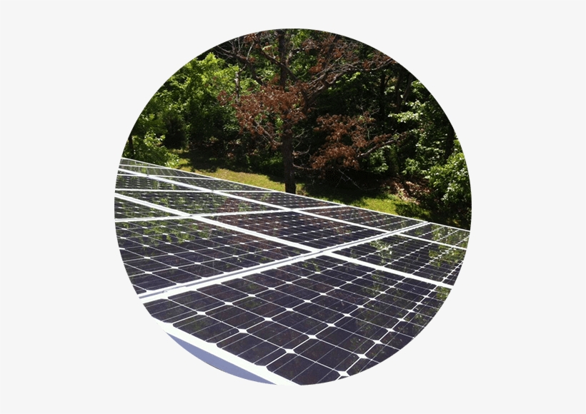 Build With Missouri Solar Applications - Tree, transparent png download