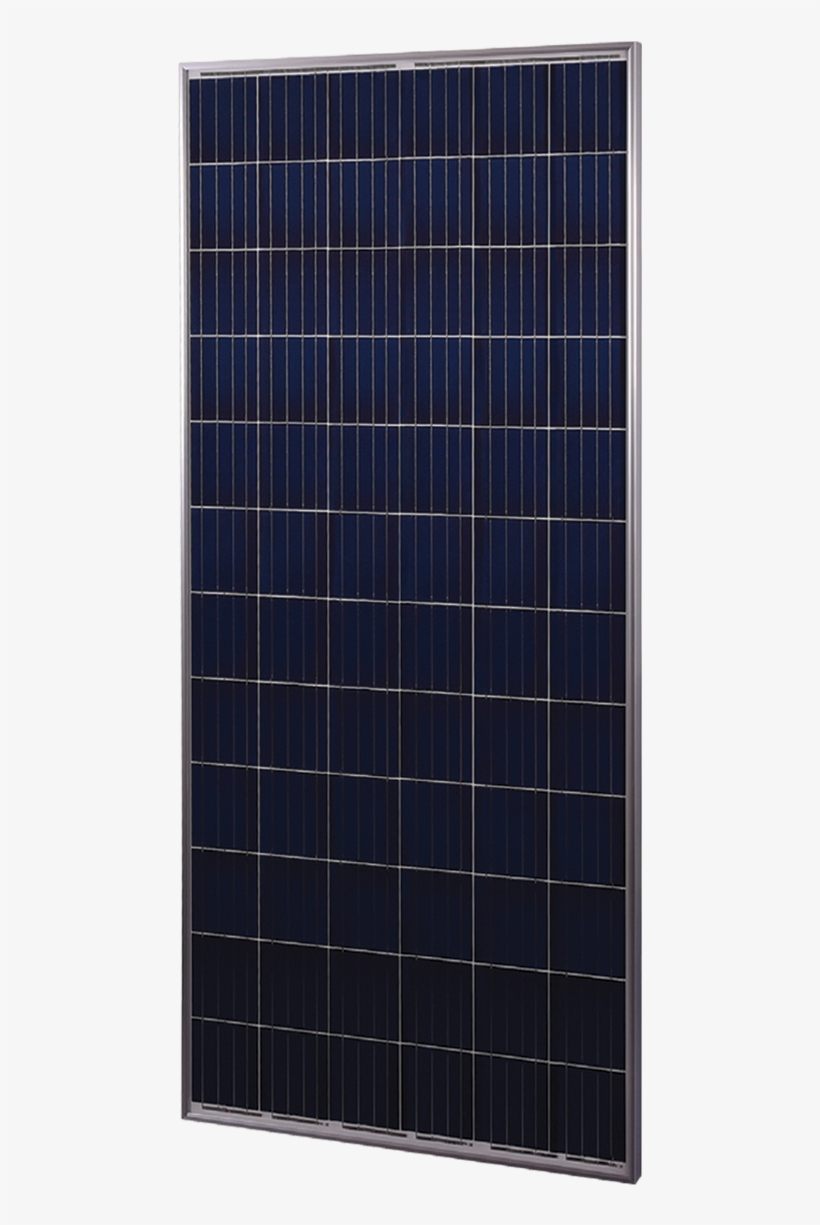 Mse Multi - Electric Blue, transparent png download