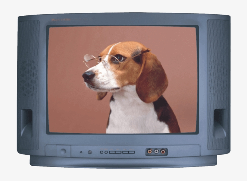 Crt Tv 14 Dk 2609r - Poster: Ltd's Beagle, 61x46cm., transparent png download