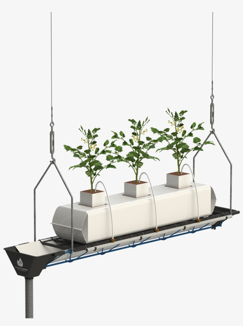 Elevado Azul Tomate - System, transparent png download