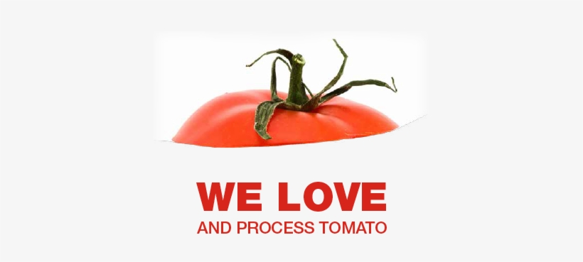 Tomato, transparent png download