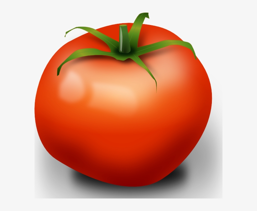 Small - Tomato Clip Art, transparent png download