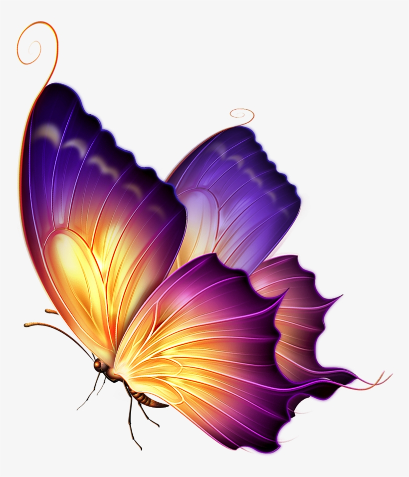 Editing Butterfly Png Download Transparent Butterfly PNG Image Transparent PNG Free Download