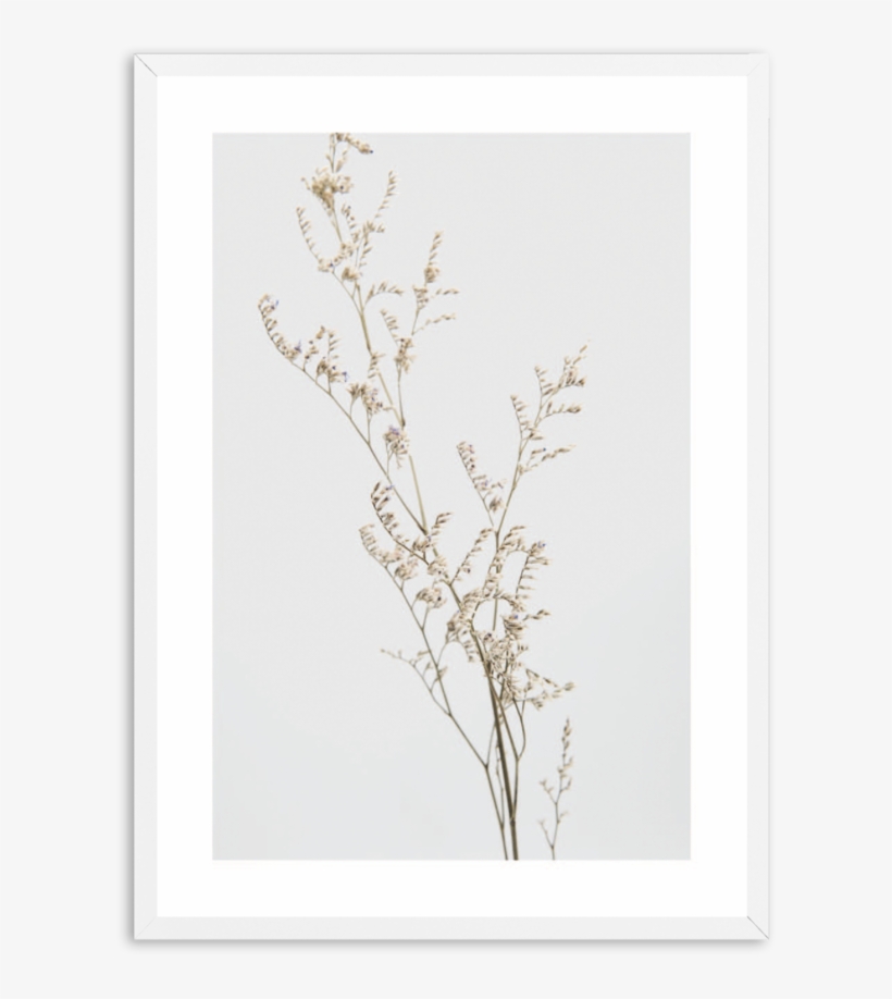 Twig, transparent png download