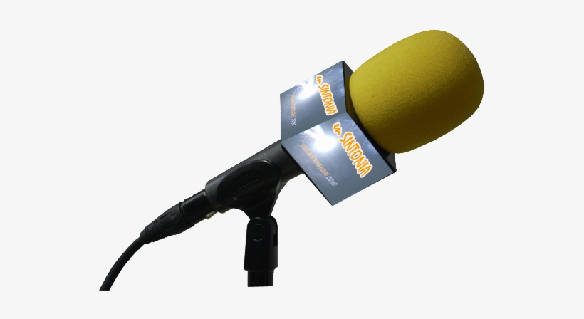 Entrevistamicrofono - Tool, transparent png download