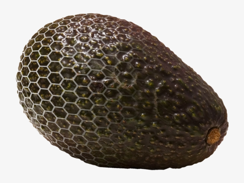 Así Es La Piel Orgánica Que Protege A Los Aguacates, - Aguacate Con Piel Invisible, transparent png download