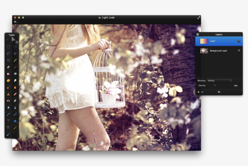Step - Snapshot, transparent png download