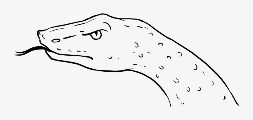 Loading Seems To Be Taking A While - Sketch, transparent png download