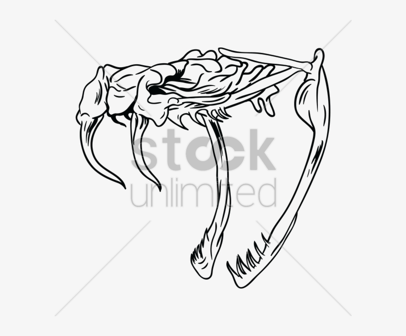 Snake Drawing At Getdrawings - Snake, transparent png download