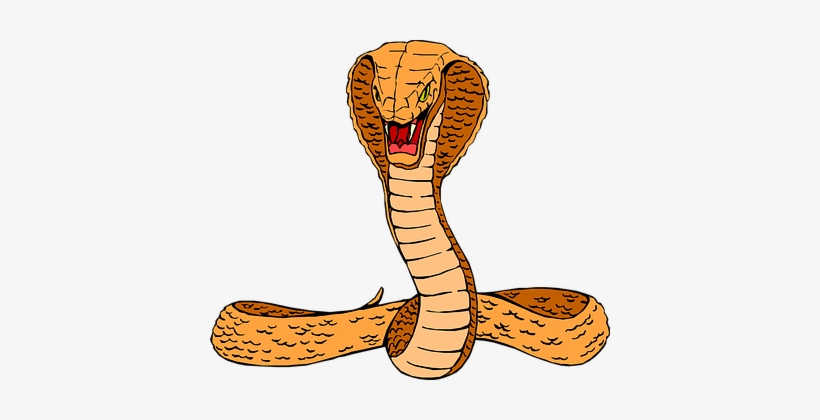 Head Snake Orange Cobra Raised Hissing Cur - Cobra Clip Art, transparent png download