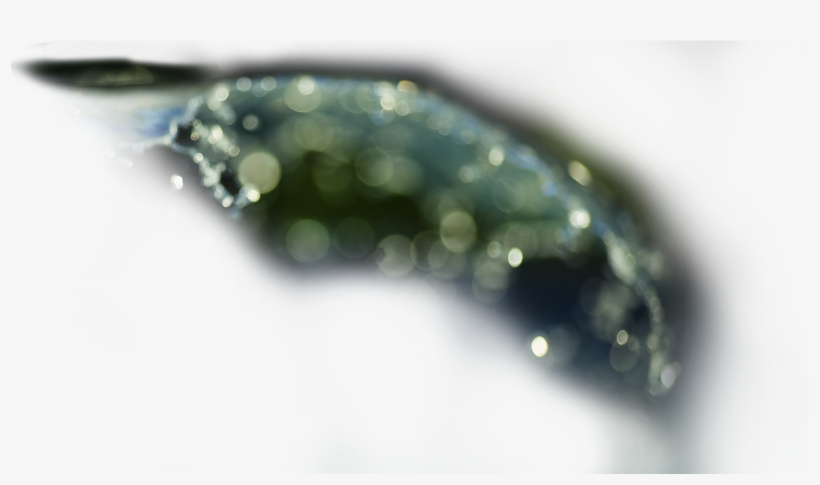 Z Wave Leak Sensor@2x - Water, transparent png download