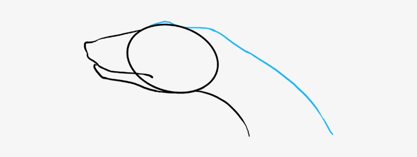 How To Draw Snake Head - Sketch, transparent png download