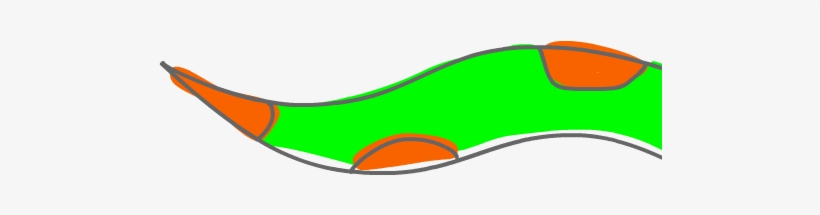 Waste Snake Head, transparent png download