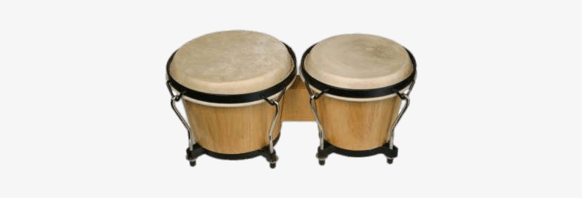 Bongo Drums, transparent png download