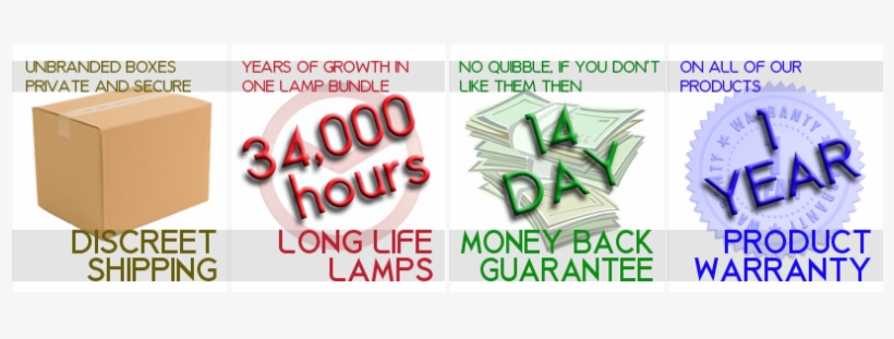 Boxeys - Cash, transparent png download