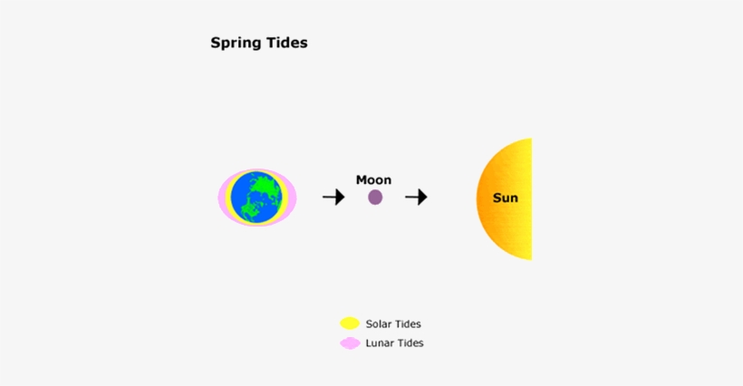 Image Of Spring Tide - Spring Tide, transparent png download