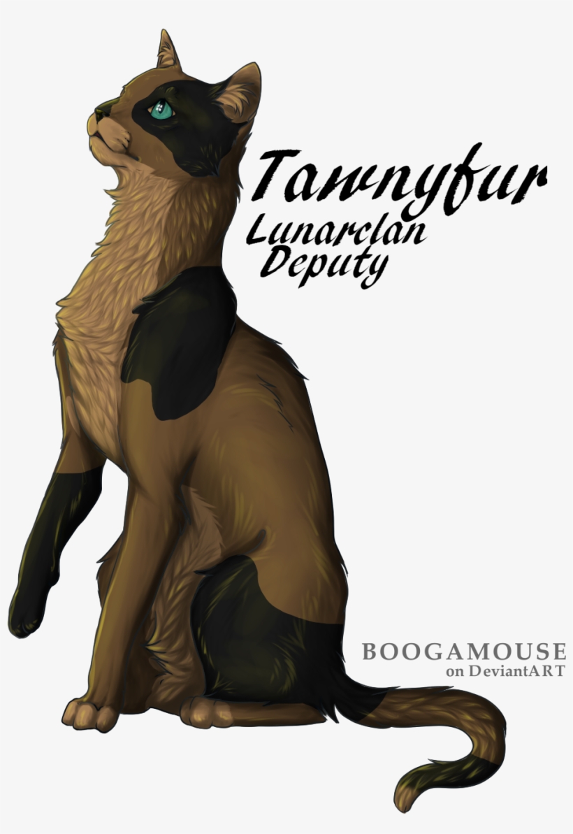 Tawnyfur Kitkat - Shading, transparent png download