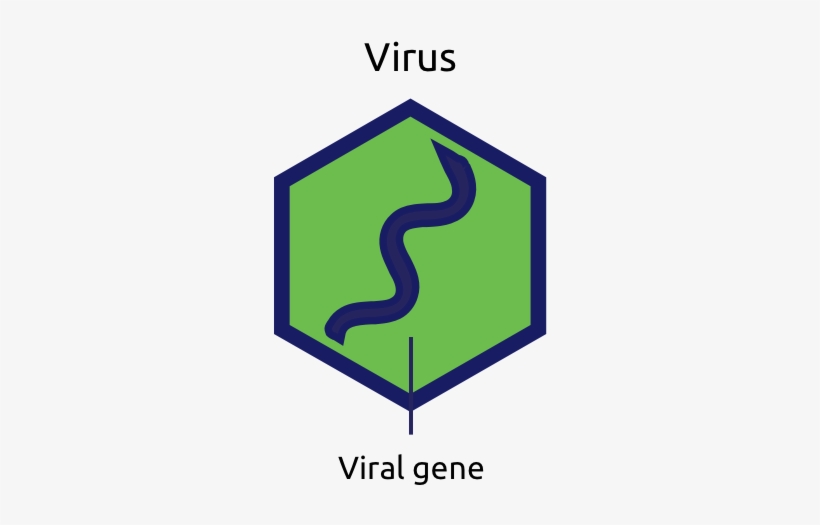 Viral Vector Graphic - Chief Scout Bronze Award, transparent png download