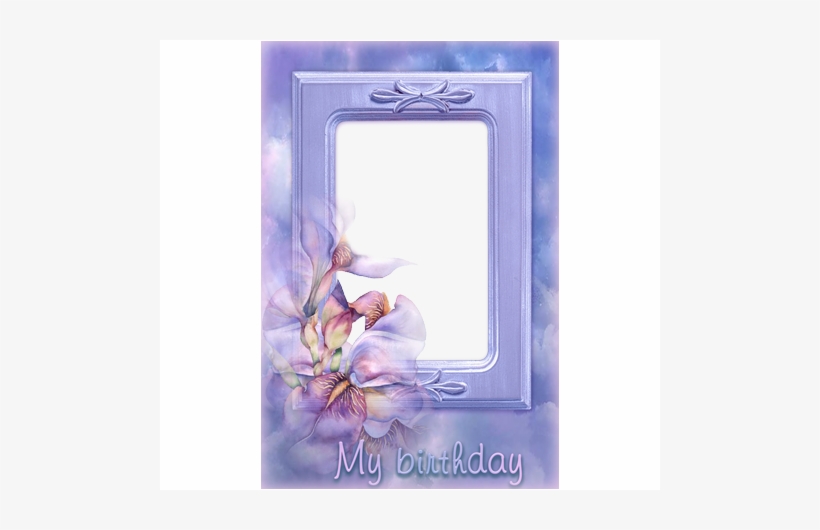 Today Is My Birthday Frem, transparent png download