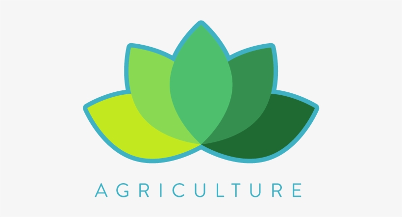 Like Us On Facebook - Graphic Design, transparent png download