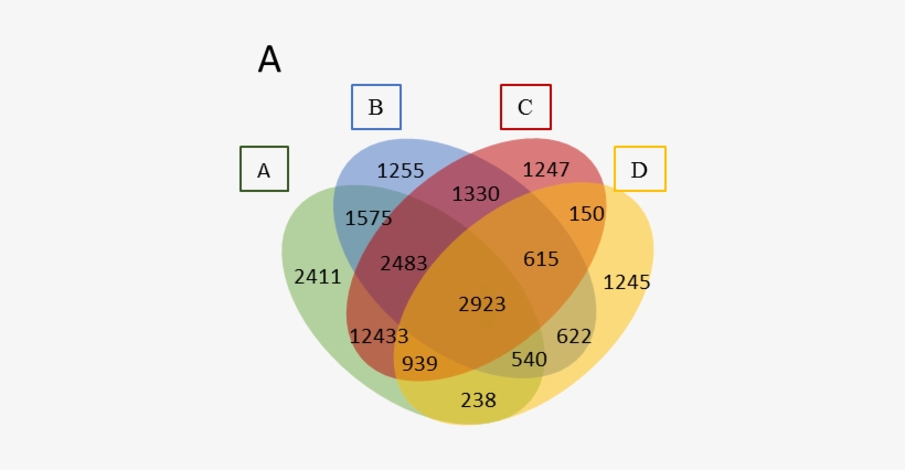 That Is Venn Diagram I Have To Create In R - Venn Diagram, transparent png download
