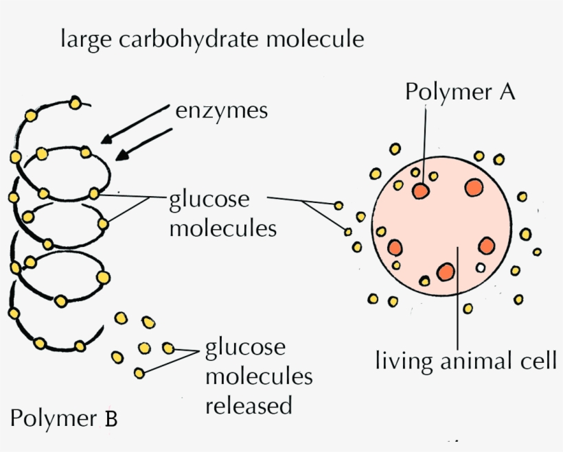 Svg Free End Of Chapter Exercises The Chemistry Siyavula - Diagram, transparent png download