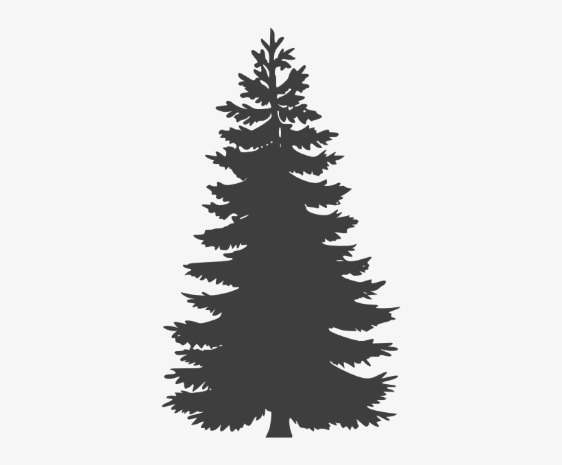Giant Pine Tree Clipart - Pine Tree Vector Png, transparent png download