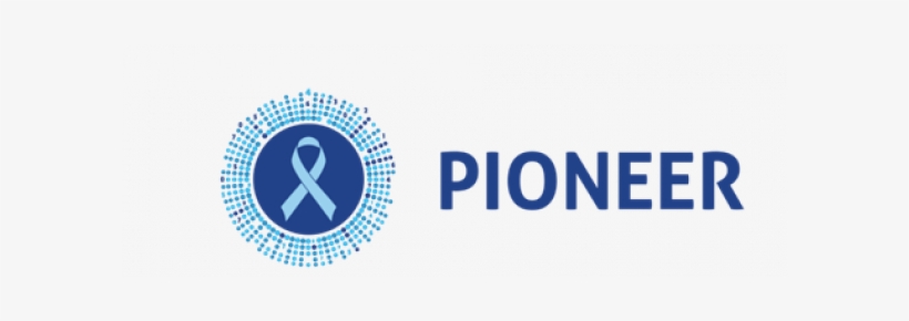 Prostate Cancer, transparent png download