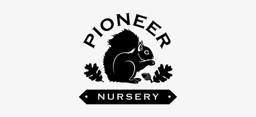 A Small Nursery With Big Ideas - Pioneer Nursery, transparent png download