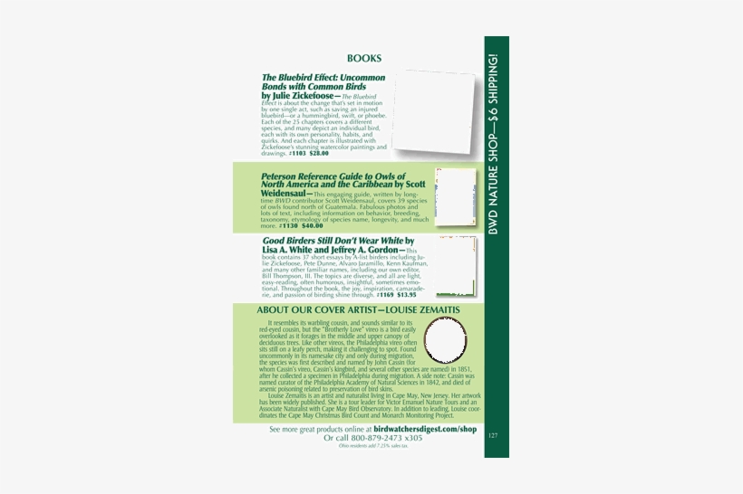 Brochure, transparent png download