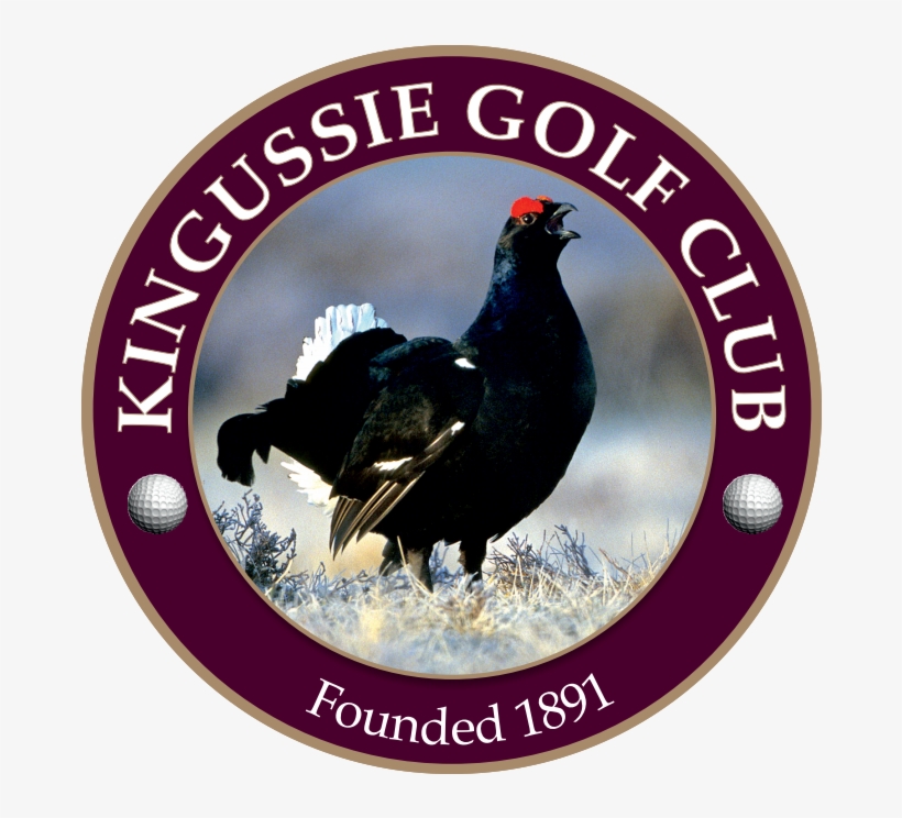 Kingussie Golf Club - Pico Dos Marins, transparent png download