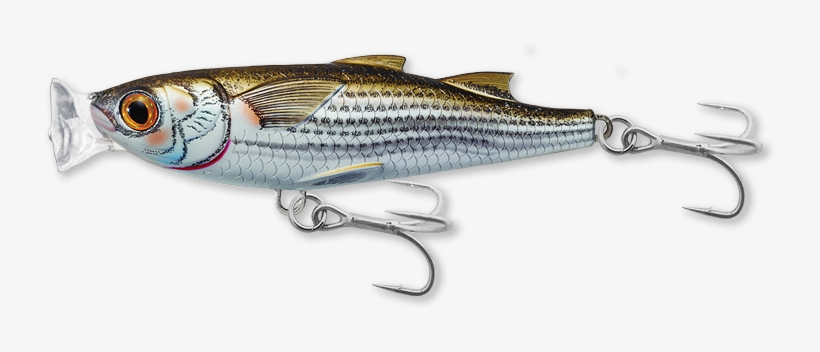 901 Natural / Matte - Live Target Mullet Popper Silver, transparent png download
