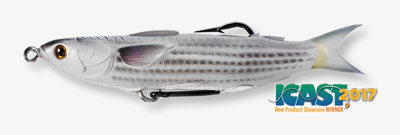 Livetarget Mullet Hollow Body Swimbait - Icast, transparent png download