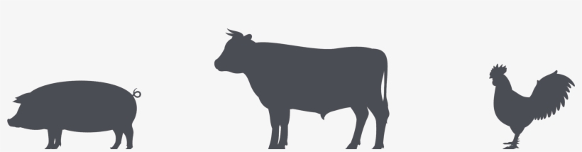 Cow And Pig Bbq, transparent png download