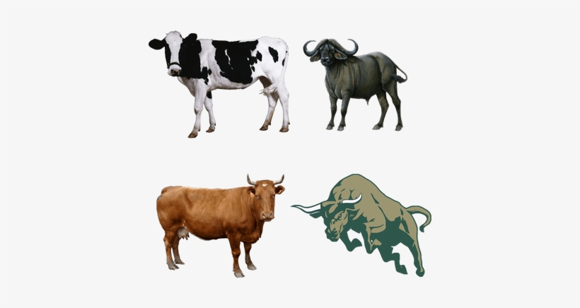 Farm Animals Play & Learn Foam Puzzle Book, transparent png download