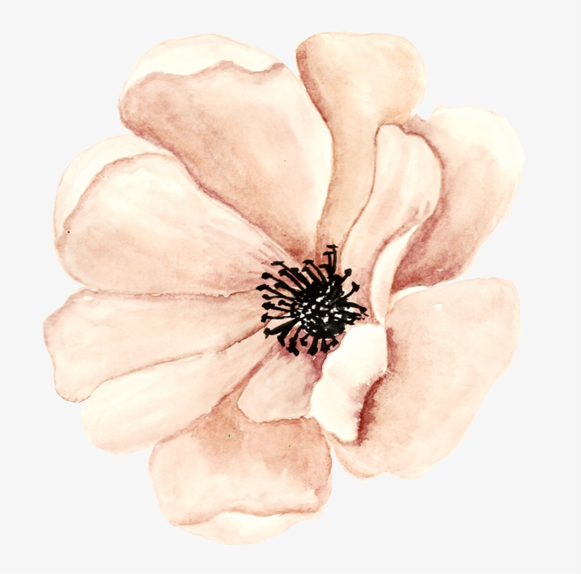 Яндекс - Фотки - Champagne, transparent png download