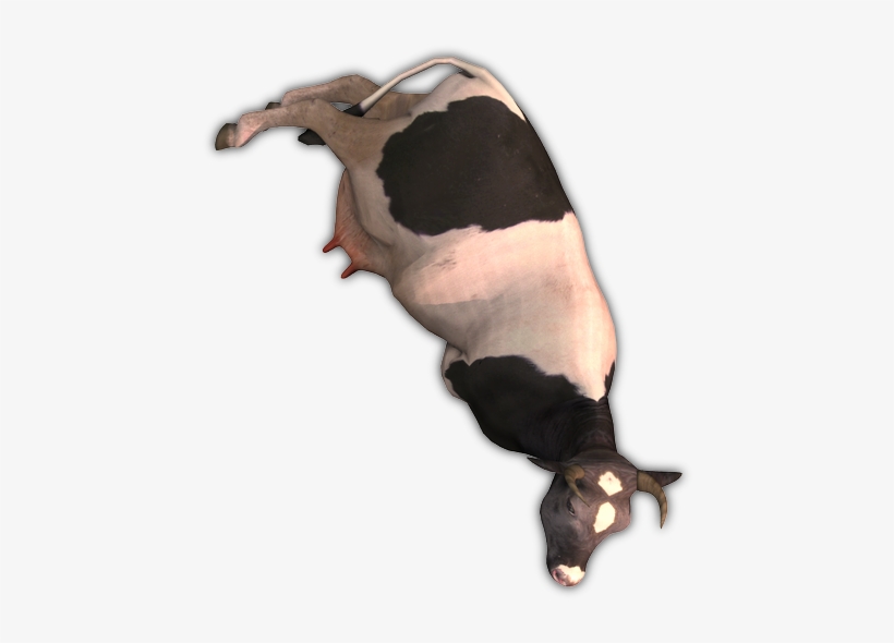 164k Cow2 Fl - Dairy Cow, transparent png download