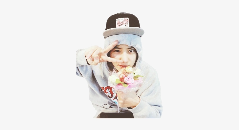 Exo Transparent, transparent png download