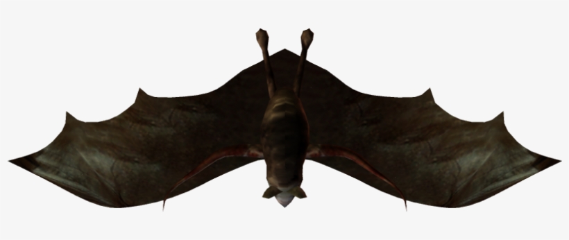 215k Batswarm Chs C 05 Feb 2009 - Big Brown Bat, transparent png download