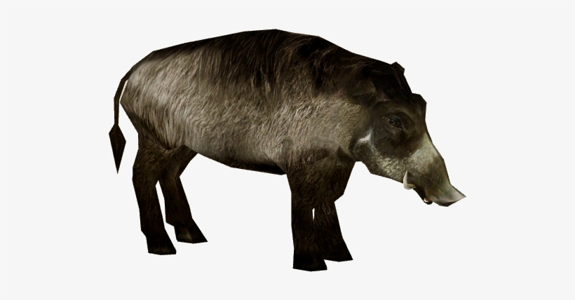 Visayan Warty Pig 3 - Visayan Warty Pig Png, transparent png download