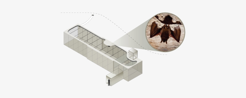 Http - //www - Batcon - Org/index - Php/media And Info/bats - Artificial Bat Cave, transparent png download