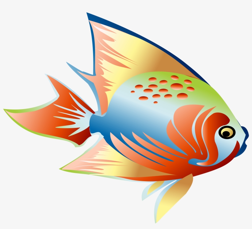 Fish Clip Art - Pescado Colorido, transparent png download