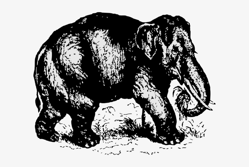 Elephant Clip Art Free Vector - Elephant, transparent png download