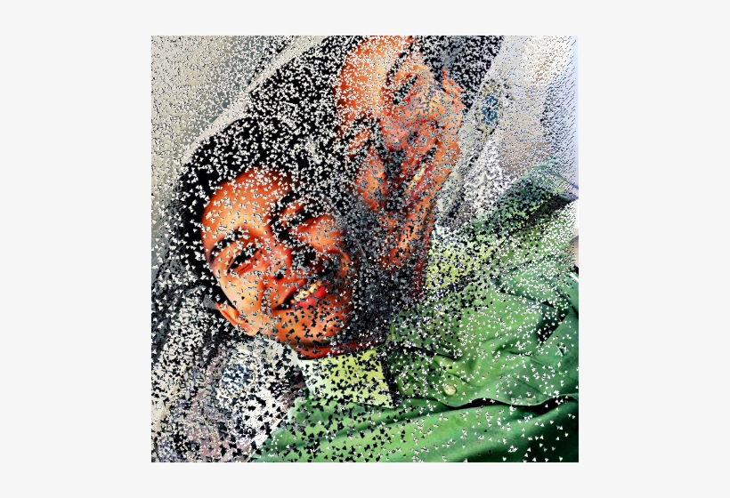 Paw, transparent png download