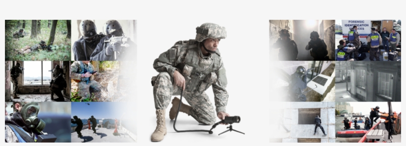 Wolf Pack Image Thermal Surveillance - Wolf, transparent png download
