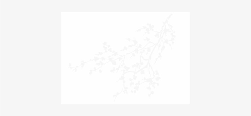 Pop & Acoustic (import), transparent png download