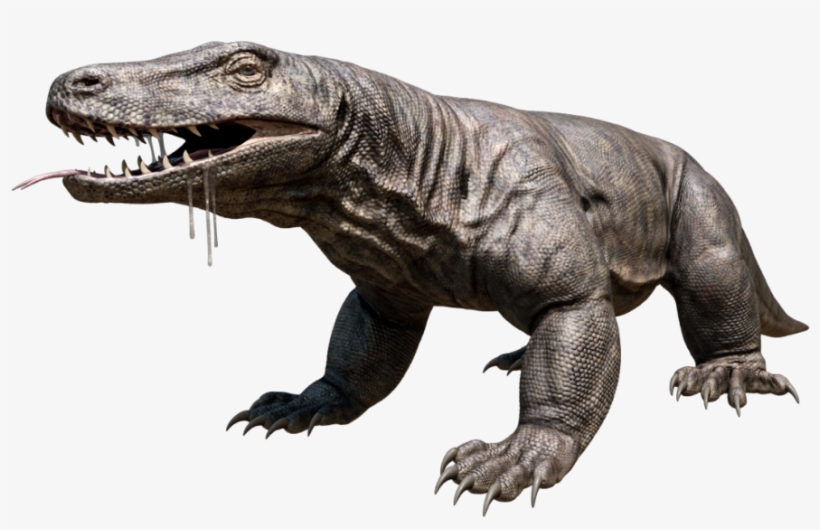 Komodo Dragon Png Hd - Komodo Png, transparent png download