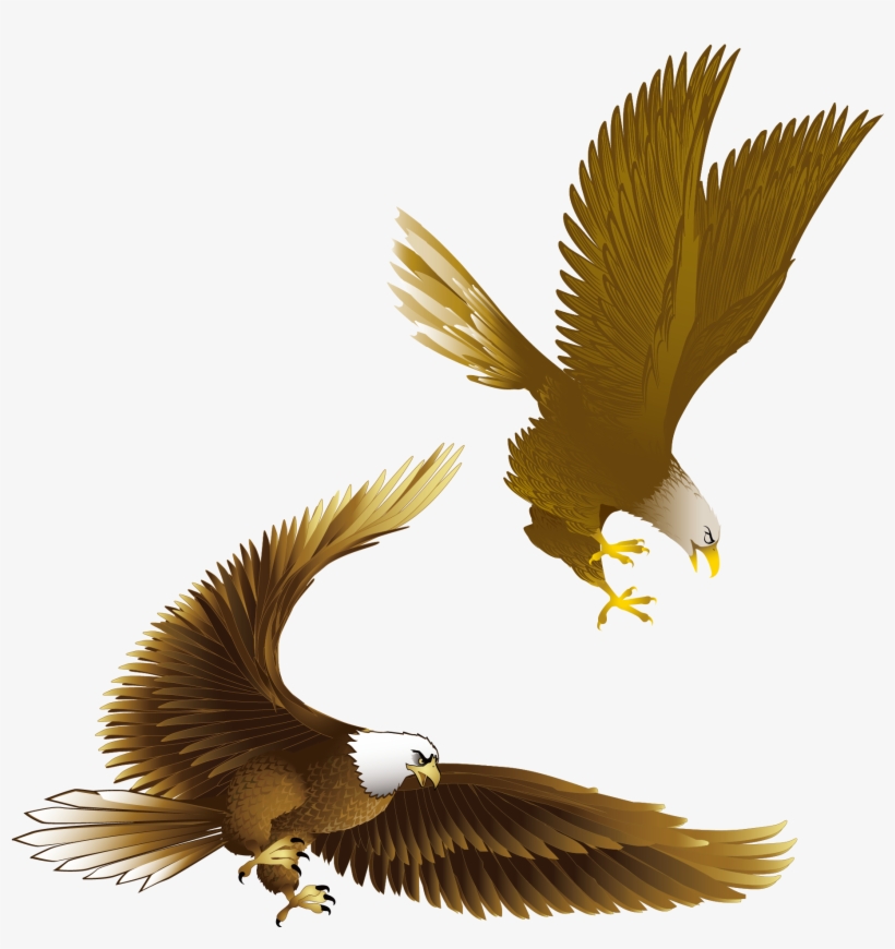 Drawn Bald Eagle Vector - Cafepress Eagle Everyday Pillow, transparent png download